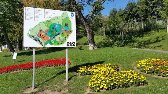 Zoo Brașov