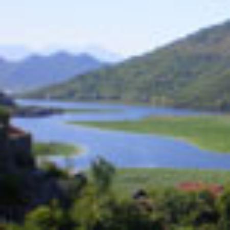 WaldKafe