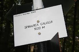 Spinarea Calului