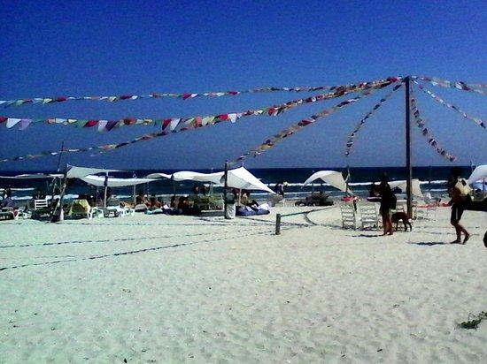 Oha Beach