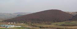 Var-bukk